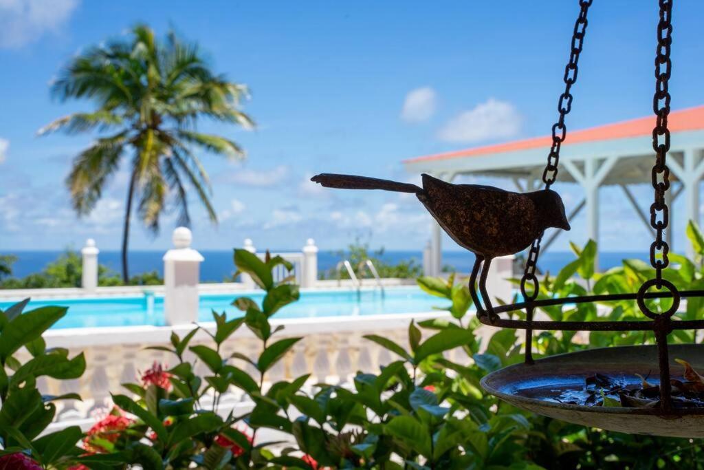 Villa Domaine Des Tourterelles Capesterre Esterno foto