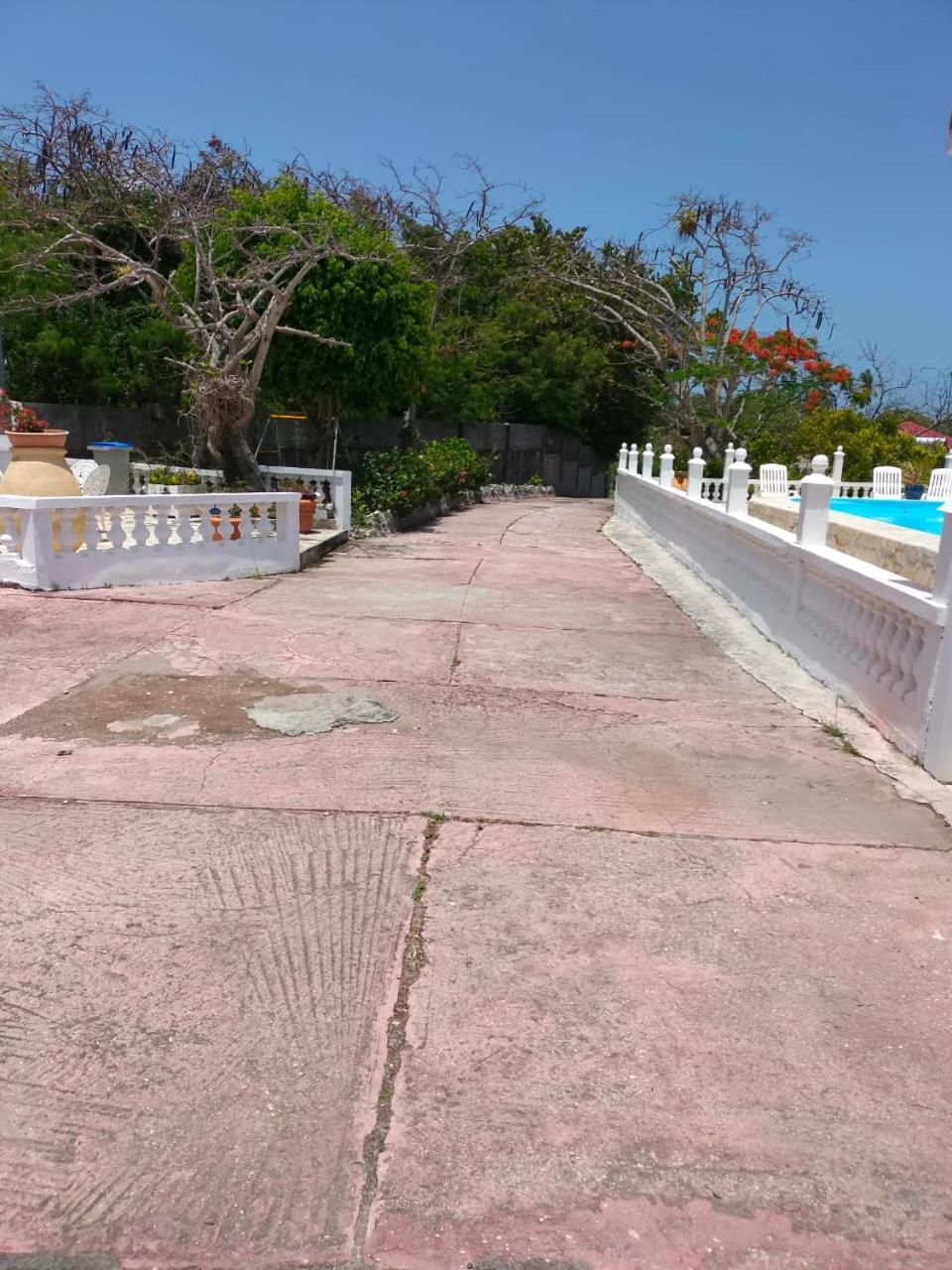 Villa Domaine Des Tourterelles Capesterre Esterno foto
